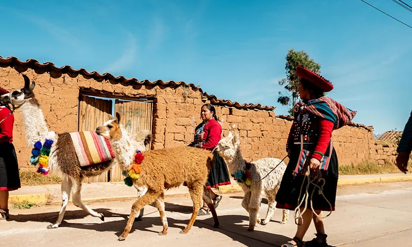 Lush landscape of rolling green hills and a field of vibrant wildflowers in Chinchero, Cusco, Peru, Kaymara Luxury Travel.