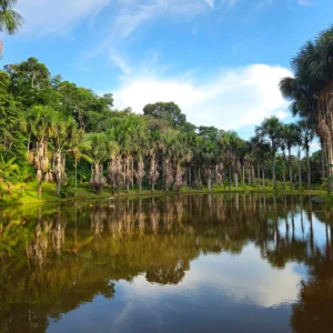 Lake Sandoval Excursion