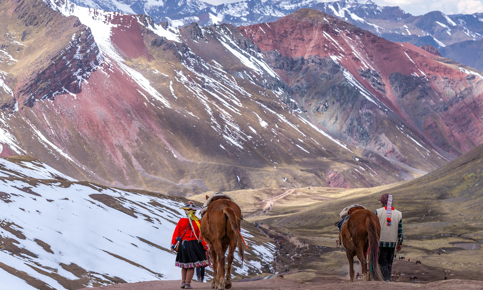 Lush landscape of rolling green hills and wildflowers under a bright blue sky in the Andes, Peru, Kaymara Luxury Travel.