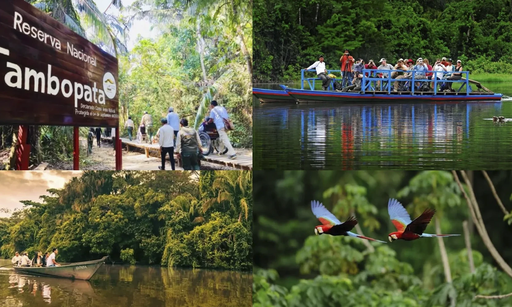 GALERIA_EXPERIENCE, THE SACRED ROUTE OF THE ANDES AND THE AMAZON_01